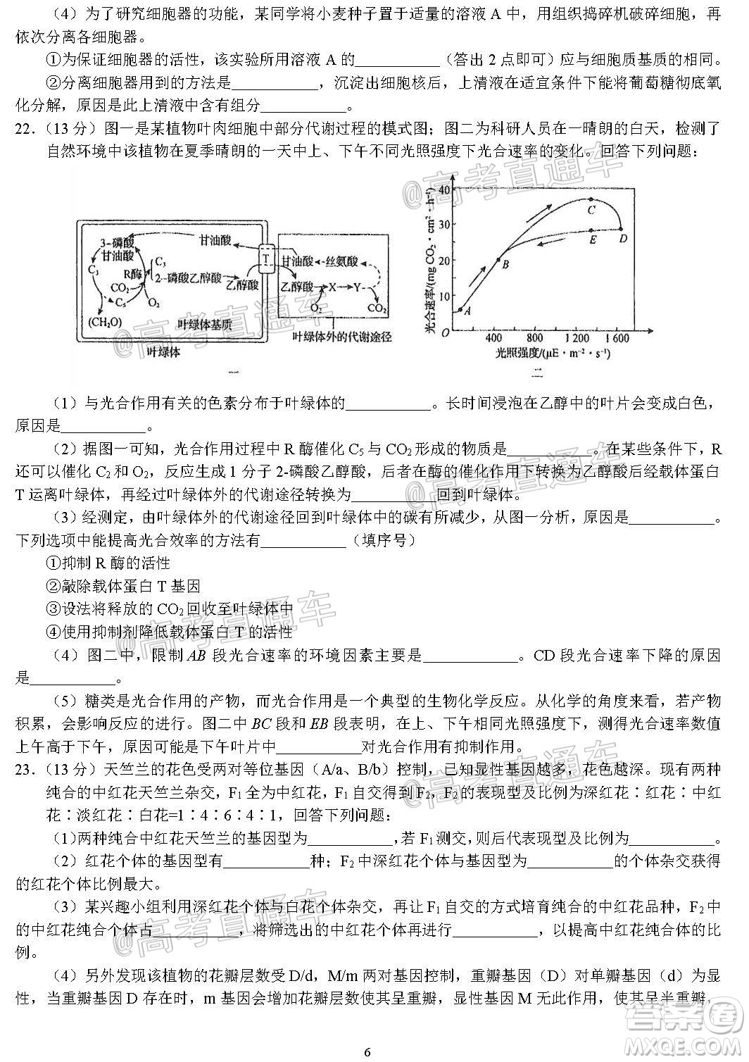 河北省衡水中學(xué)2021屆上學(xué)期高三年級二調(diào)考試生物試題及答案