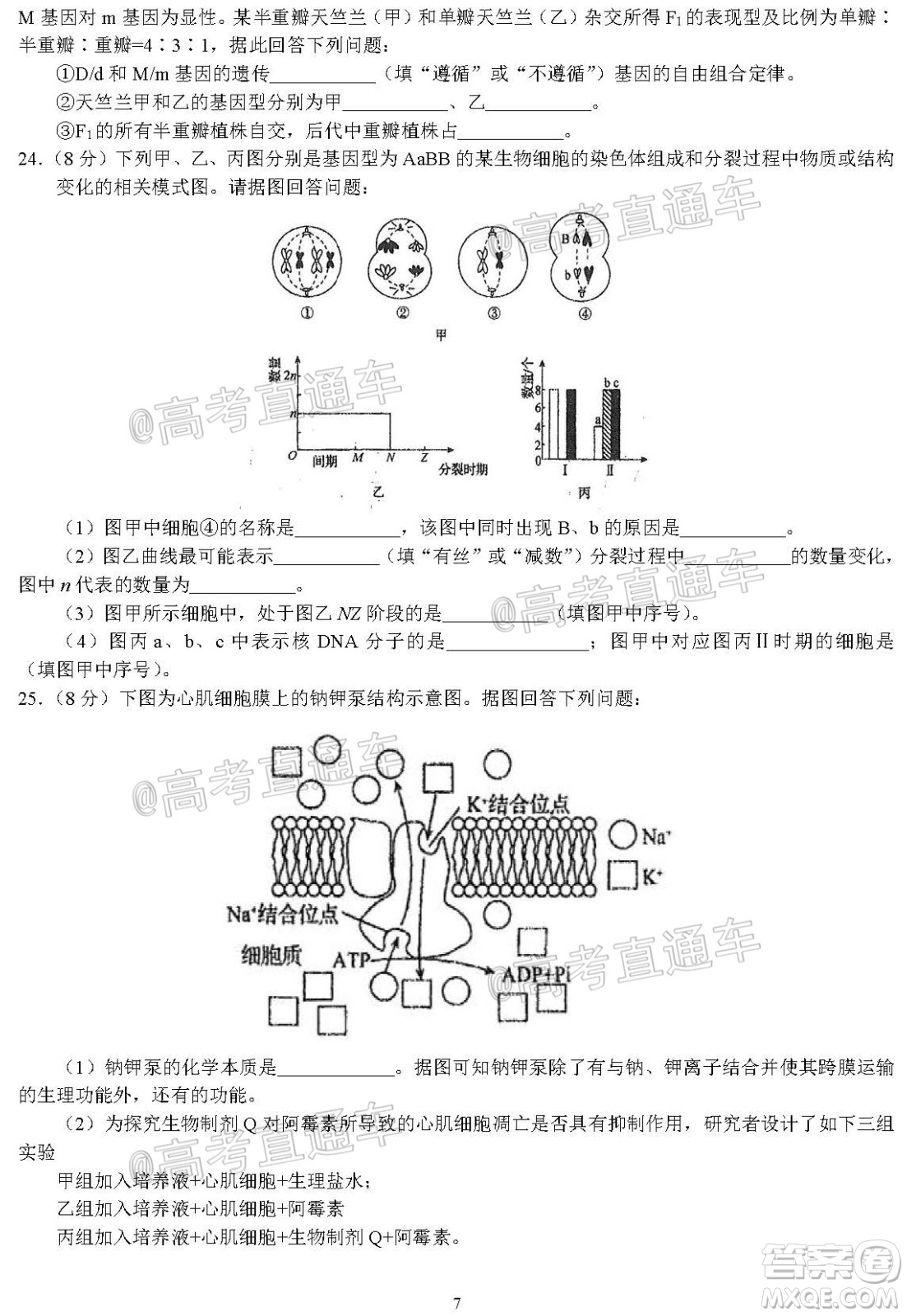 河北省衡水中學(xué)2021屆上學(xué)期高三年級二調(diào)考試生物試題及答案