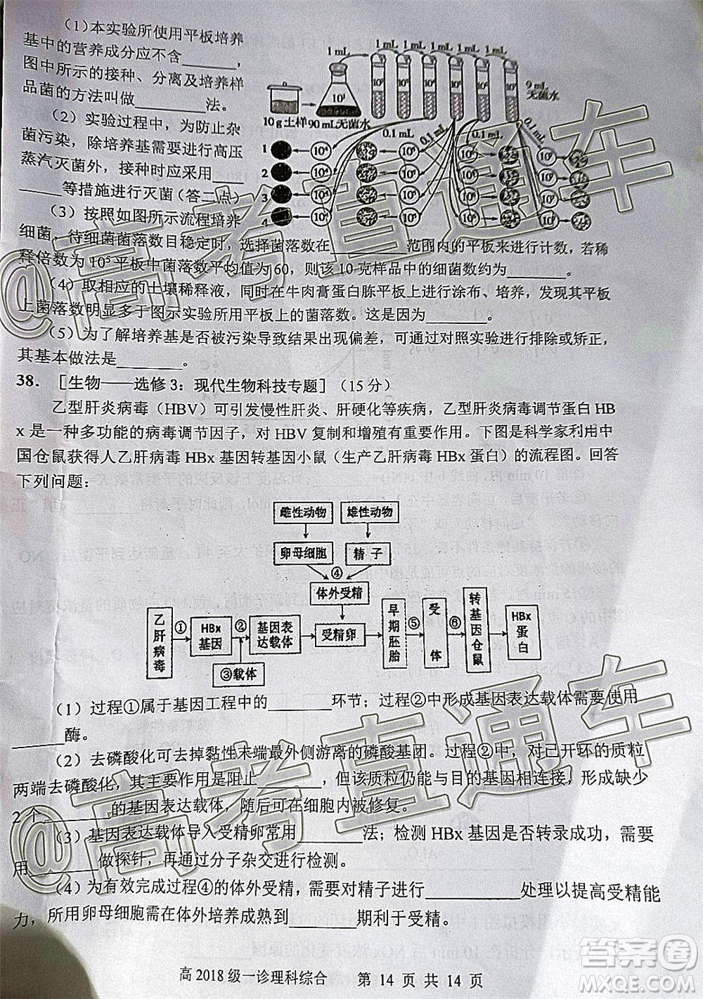 宜賓市普通高中2018級第一次診斷性測試?yán)砜凭C合試題及答案