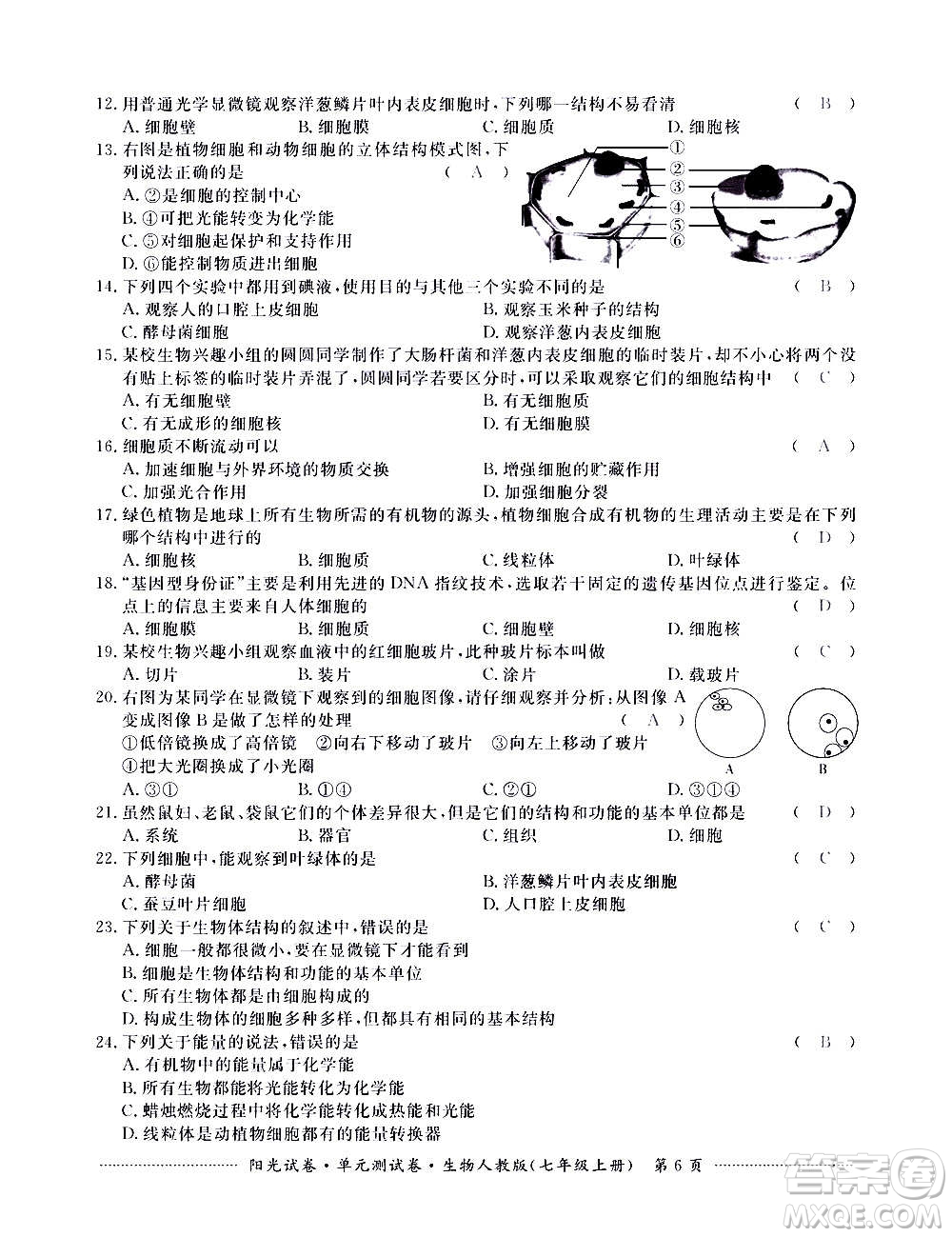 江西高校出版社2020陽光試卷單元測試卷生物七年級上冊人教版答案