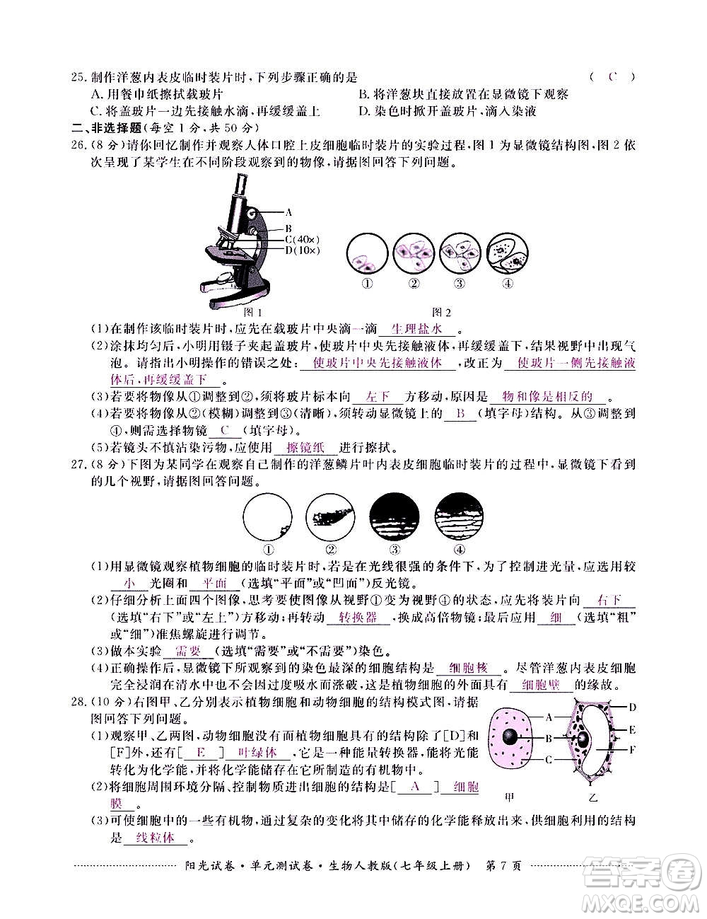 江西高校出版社2020陽光試卷單元測試卷生物七年級上冊人教版答案