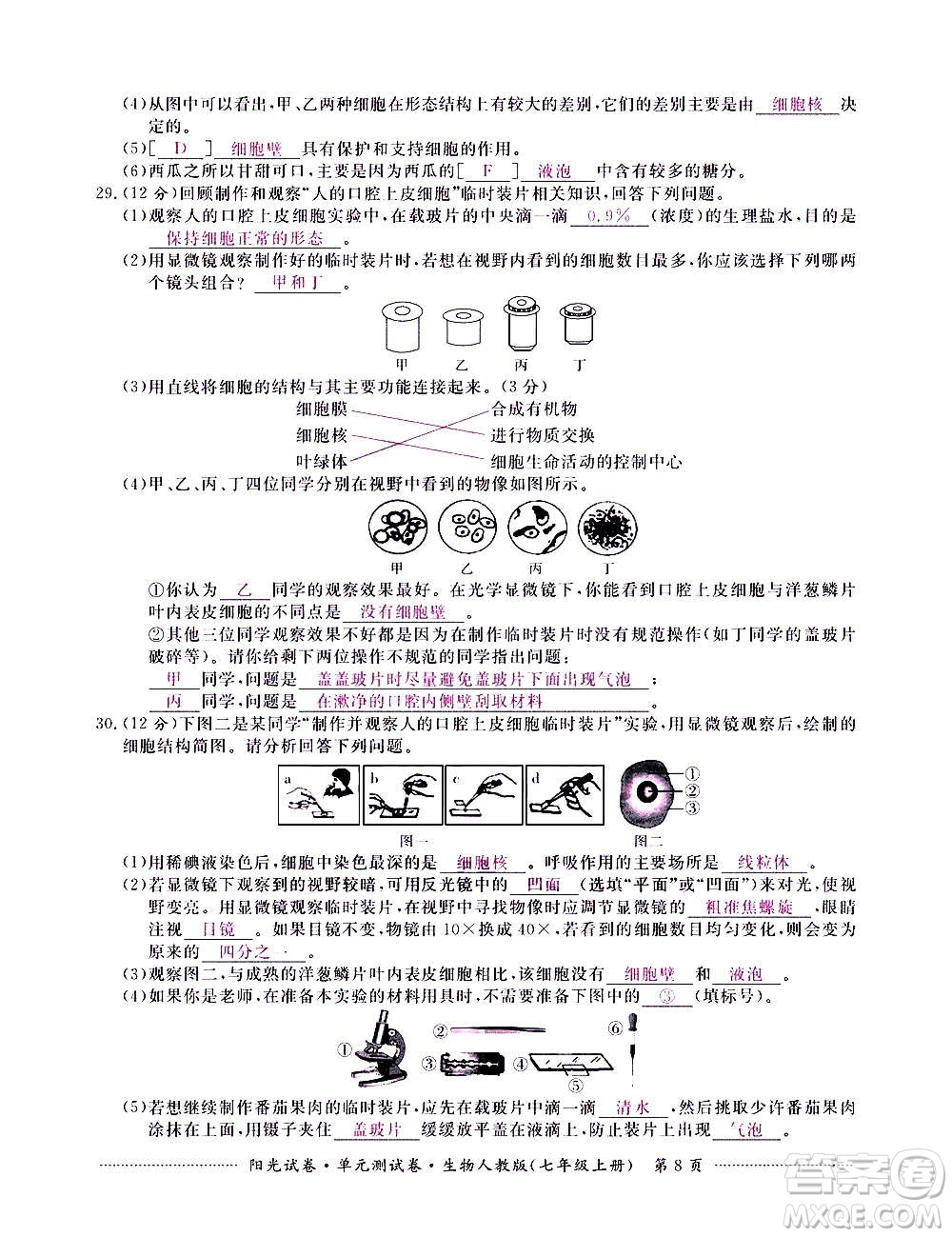 江西高校出版社2020陽光試卷單元測試卷生物七年級上冊人教版答案