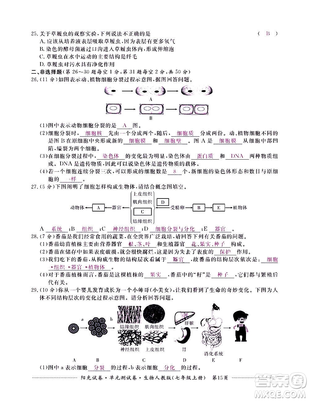 江西高校出版社2020陽光試卷單元測試卷生物七年級上冊人教版答案