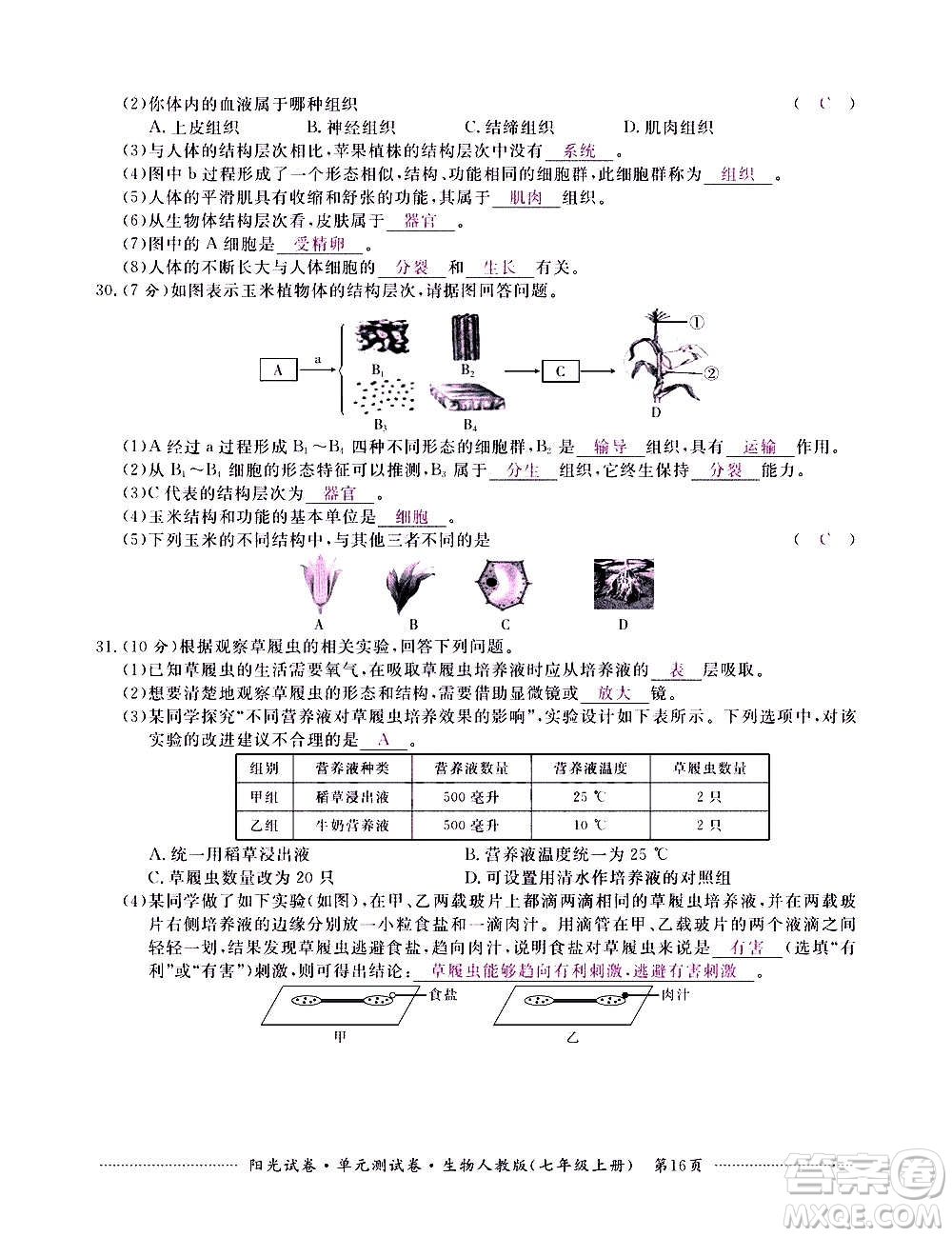 江西高校出版社2020陽光試卷單元測試卷生物七年級上冊人教版答案