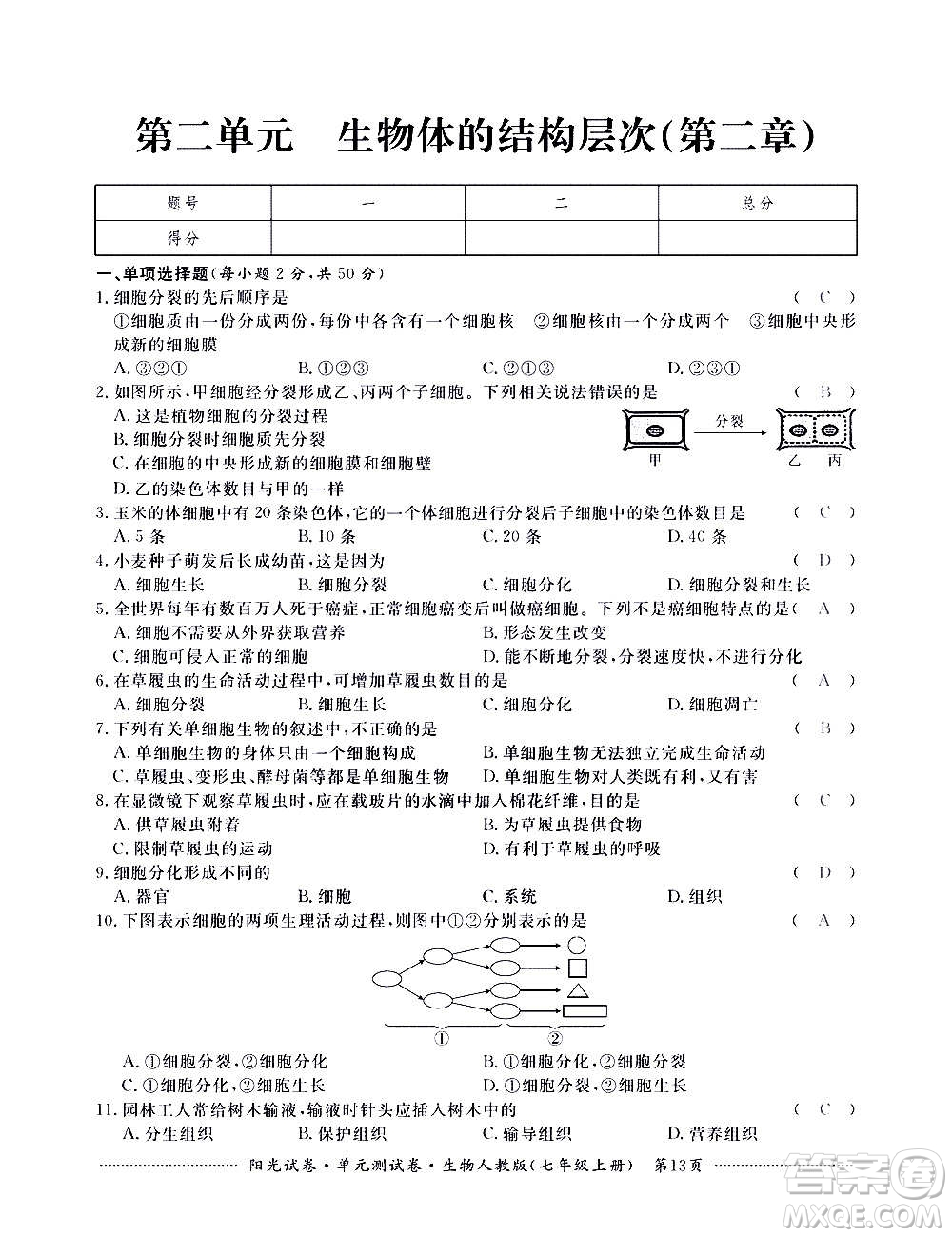 江西高校出版社2020陽光試卷單元測試卷生物七年級上冊人教版答案