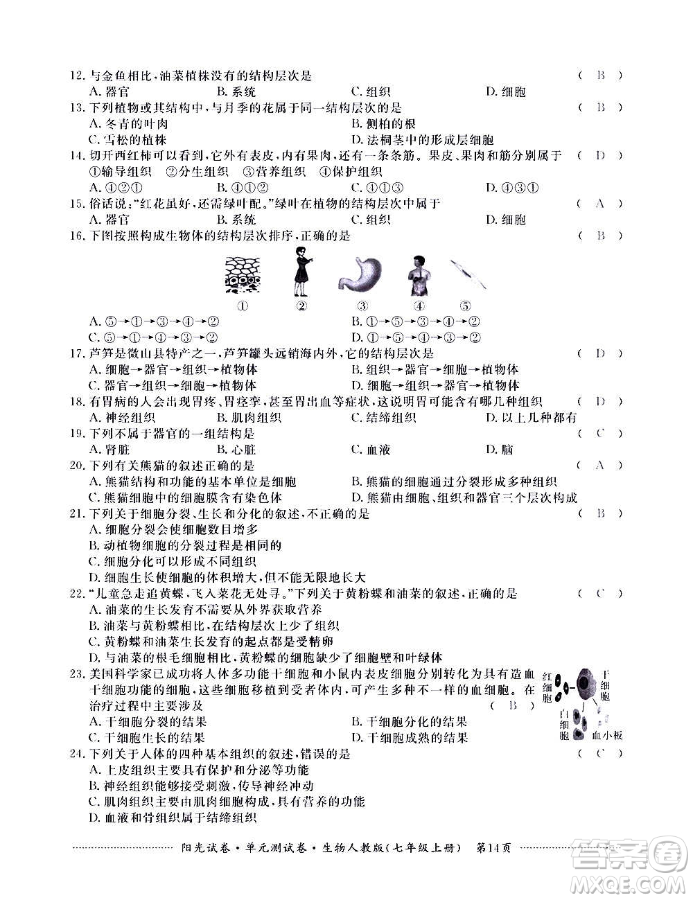 江西高校出版社2020陽光試卷單元測試卷生物七年級上冊人教版答案