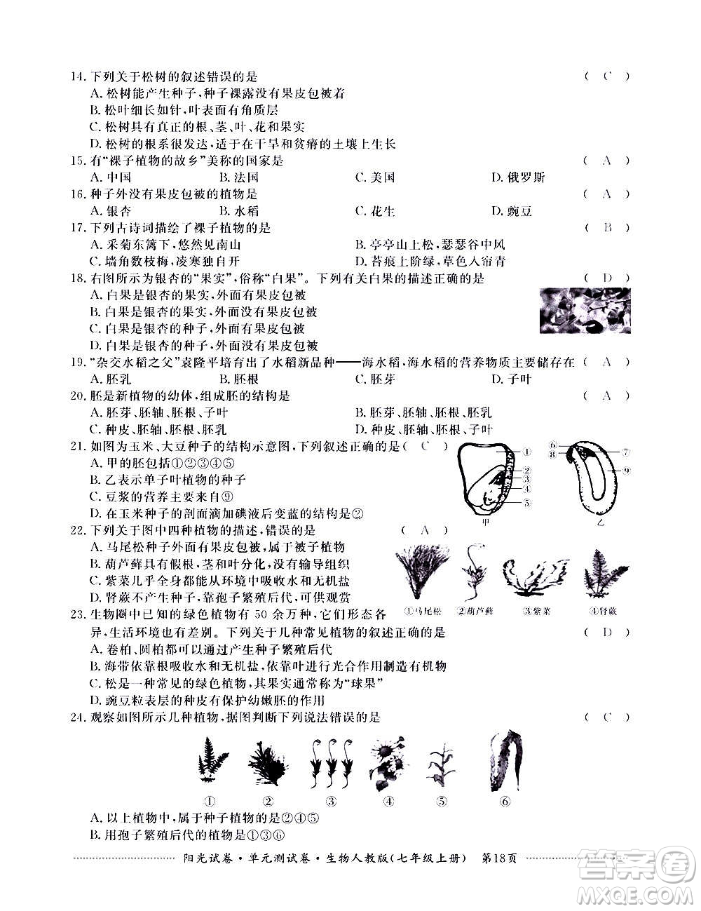 江西高校出版社2020陽光試卷單元測試卷生物七年級上冊人教版答案