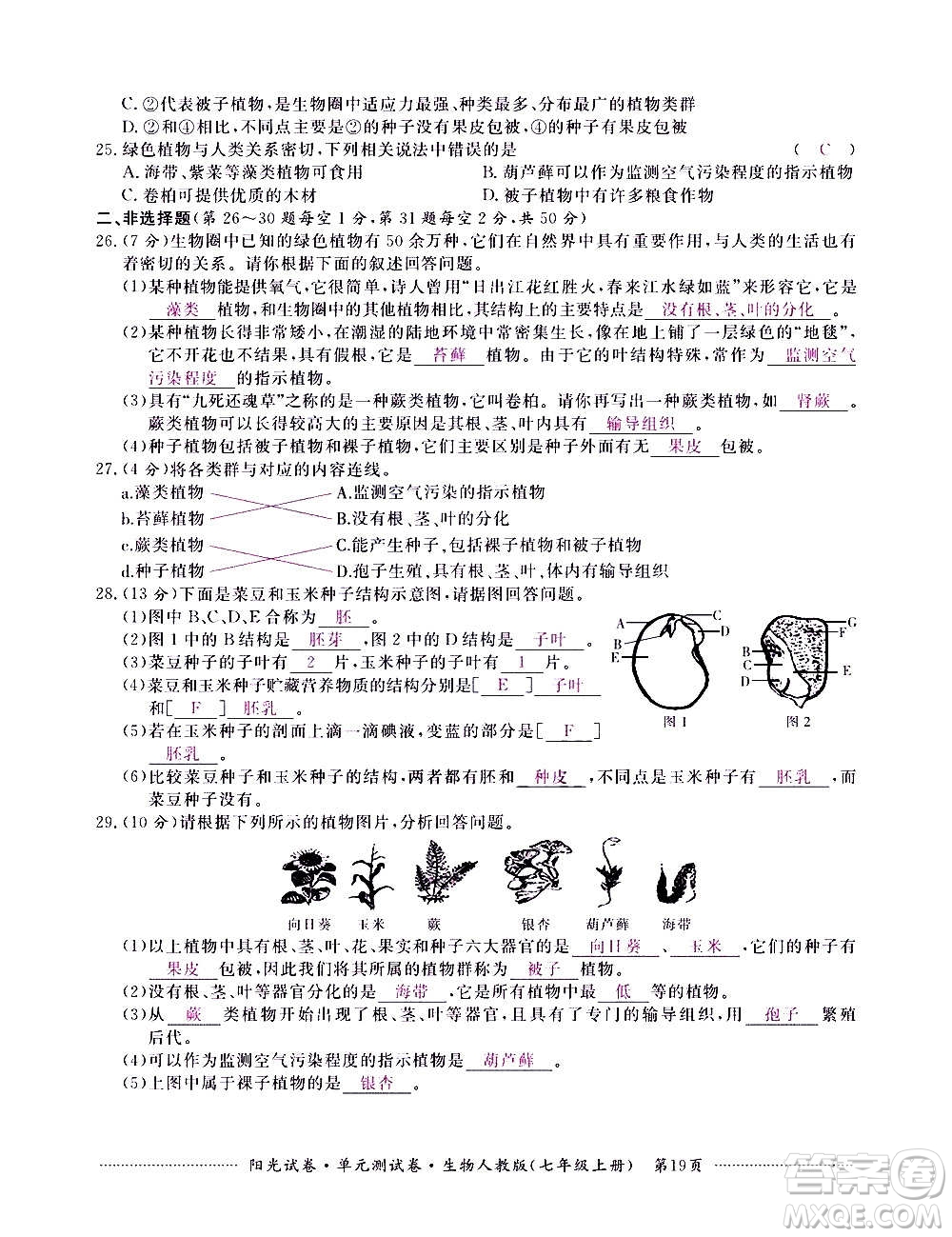 江西高校出版社2020陽光試卷單元測試卷生物七年級上冊人教版答案