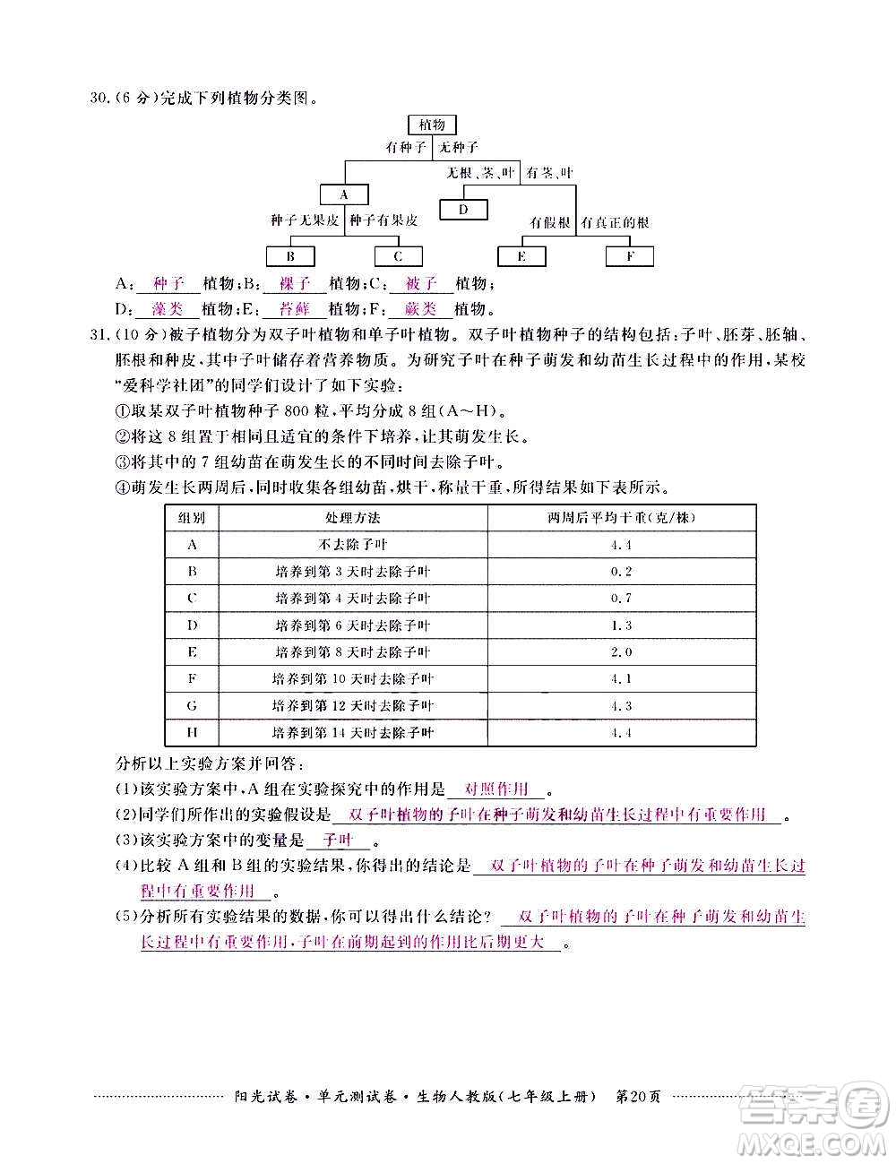 江西高校出版社2020陽光試卷單元測試卷生物七年級上冊人教版答案