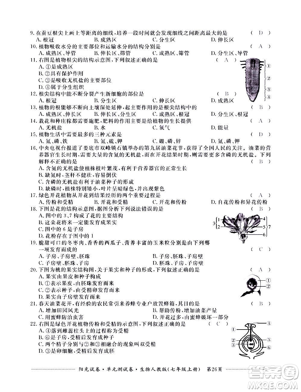 江西高校出版社2020陽光試卷單元測試卷生物七年級上冊人教版答案