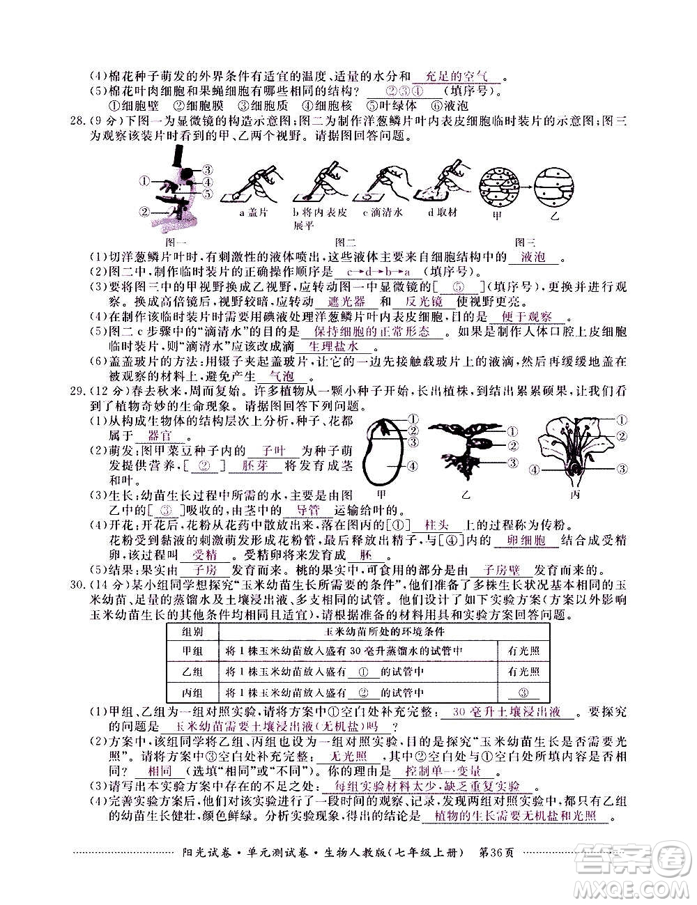 江西高校出版社2020陽光試卷單元測試卷生物七年級上冊人教版答案