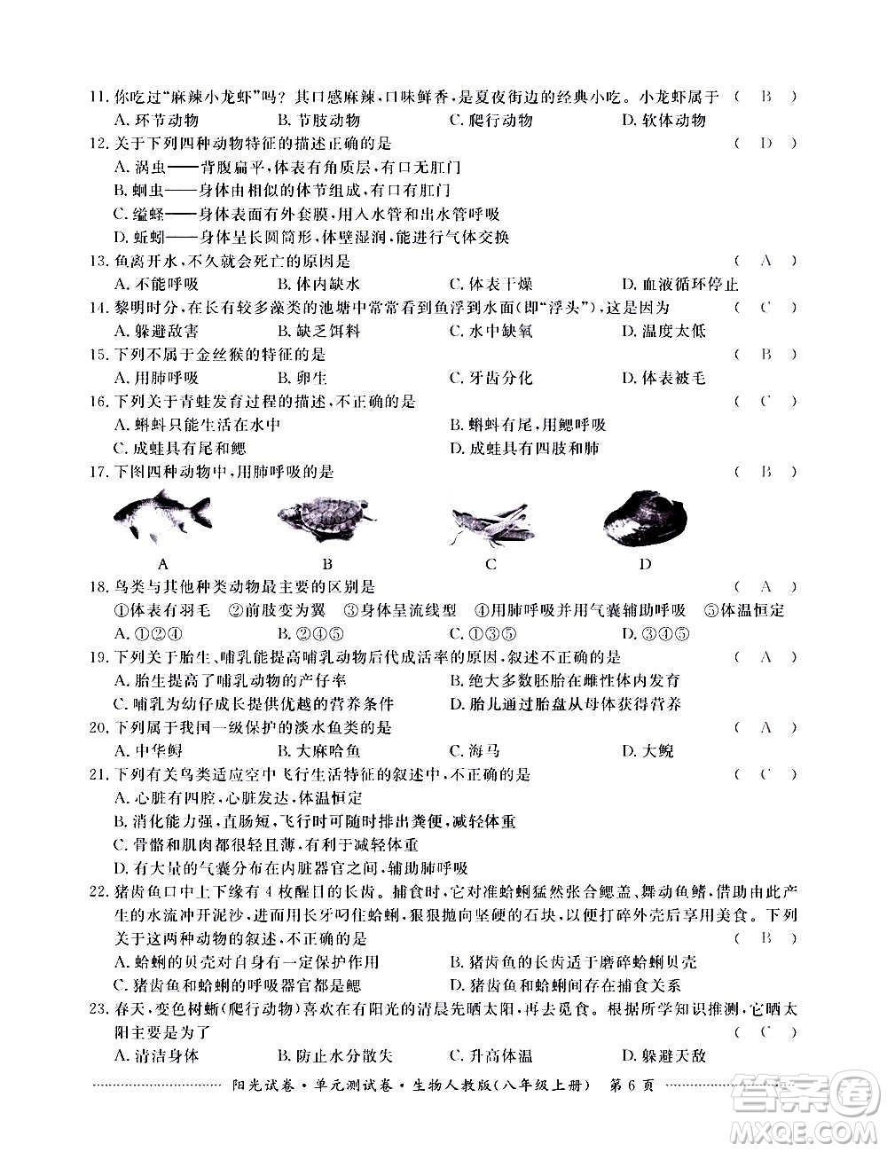 江西高校出版社2020陽光試卷單元測試卷生物八年級上冊人教版答案