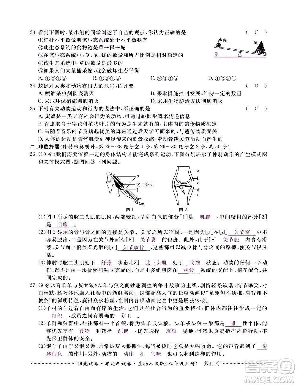 江西高校出版社2020陽光試卷單元測試卷生物八年級上冊人教版答案