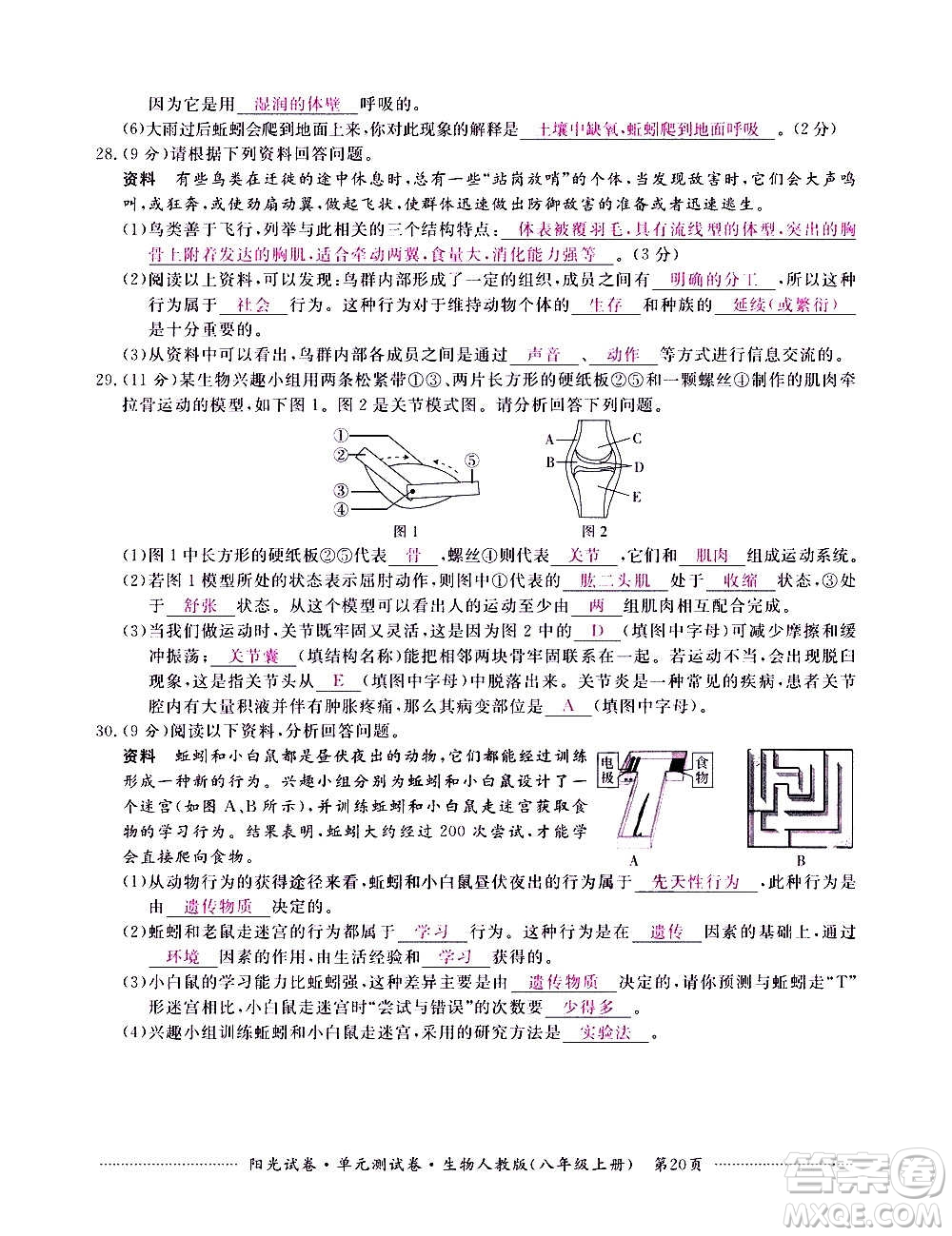 江西高校出版社2020陽光試卷單元測試卷生物八年級上冊人教版答案