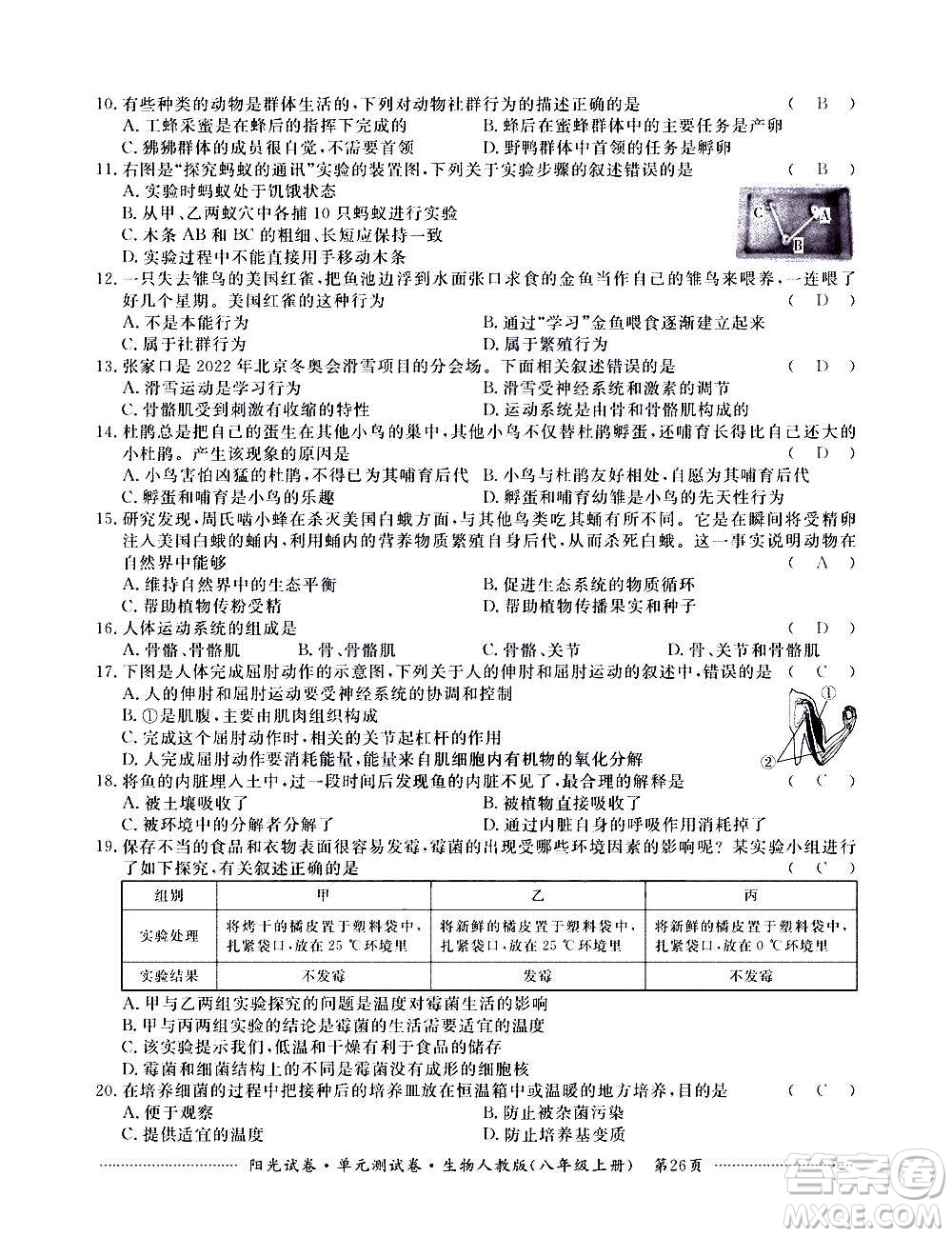 江西高校出版社2020陽光試卷單元測試卷生物八年級上冊人教版答案