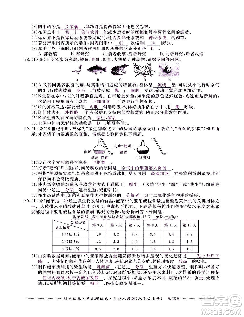 江西高校出版社2020陽光試卷單元測試卷生物八年級上冊人教版答案