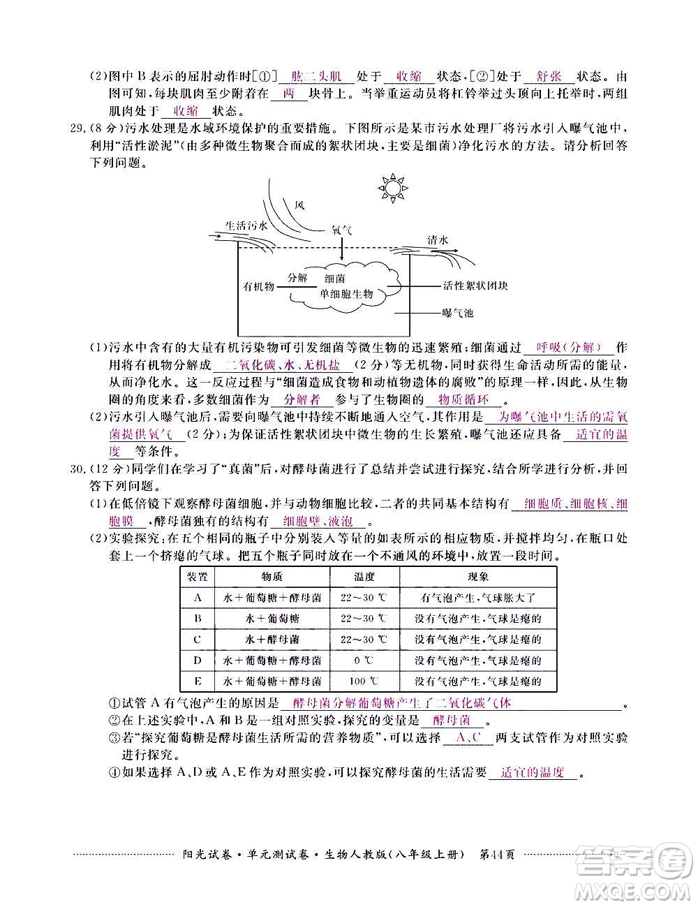 江西高校出版社2020陽光試卷單元測試卷生物八年級上冊人教版答案