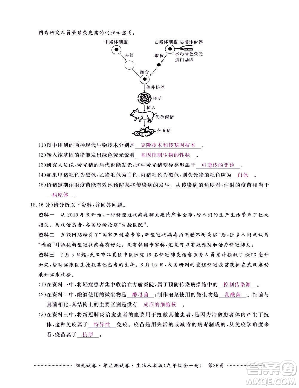 江西高校出版社2020陽光試卷單元測試卷生物九年級全一冊人教版答案