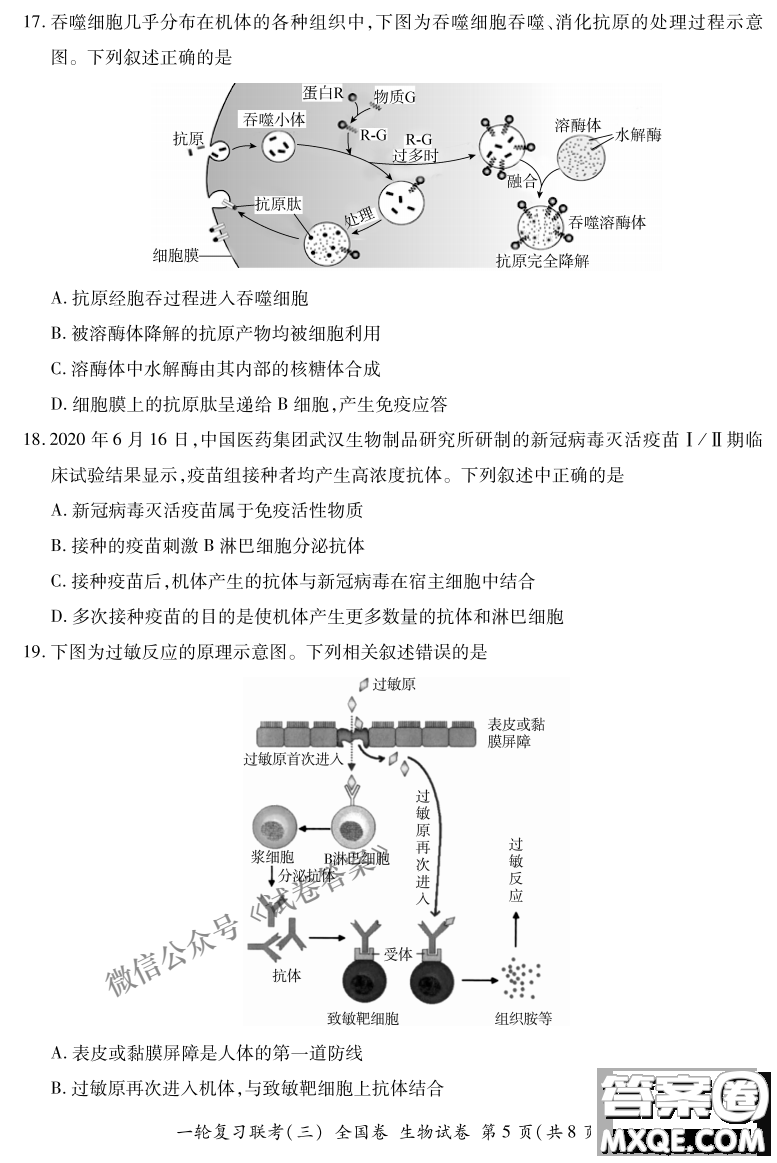 百師聯(lián)盟2021屆高三一輪復(fù)習(xí)聯(lián)考三全國卷生物試題及答案