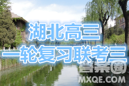 2021屆湖北高三一輪復(fù)習(xí)聯(lián)考三英語(yǔ)試題及答案