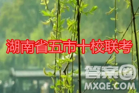 湖南省五市十校2020年下學(xué)期高三年級第二次大聯(lián)考?xì)v史試題及答案