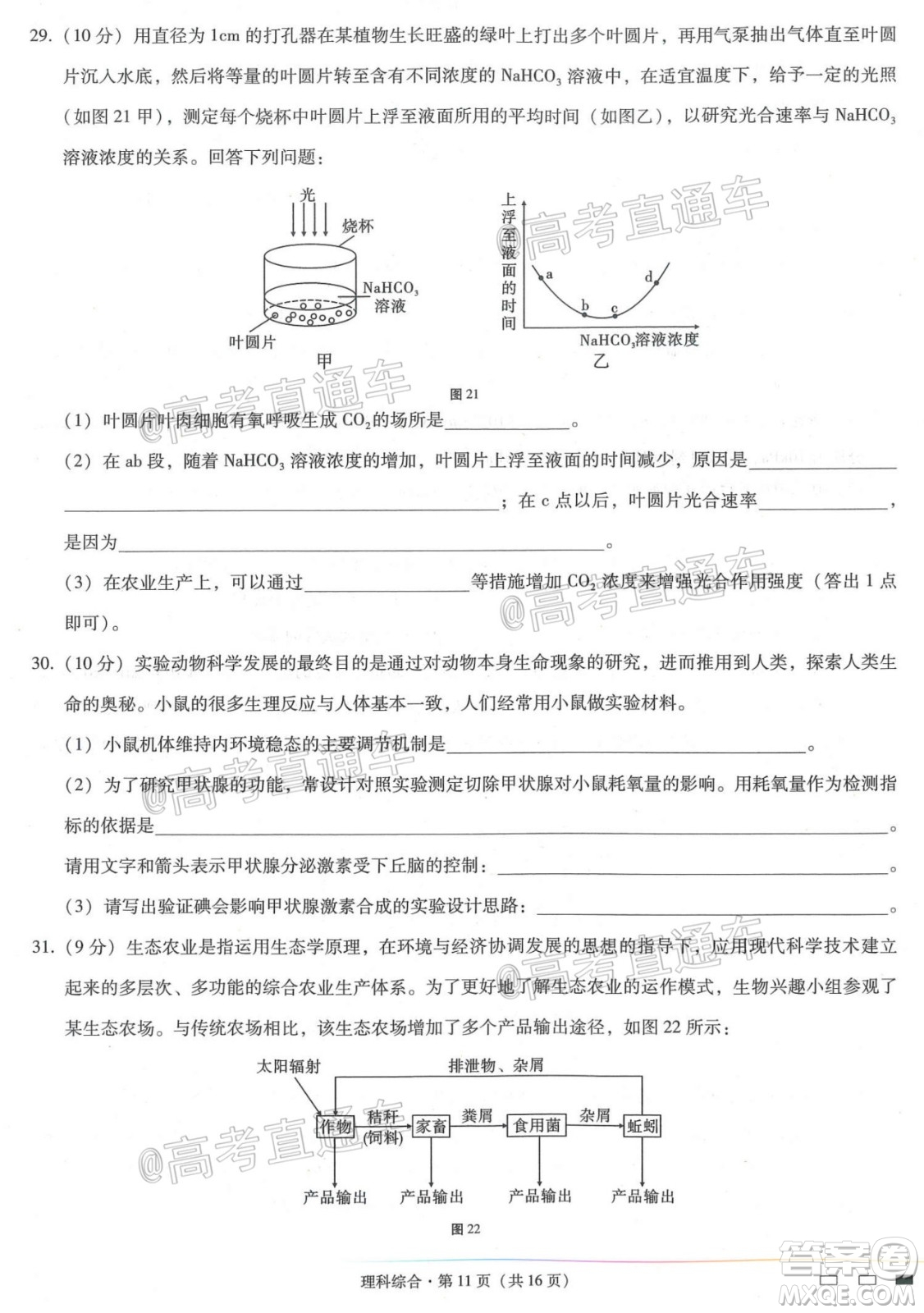 西南名校聯(lián)盟高考適應(yīng)性月考卷12月考理科綜合試題及答案