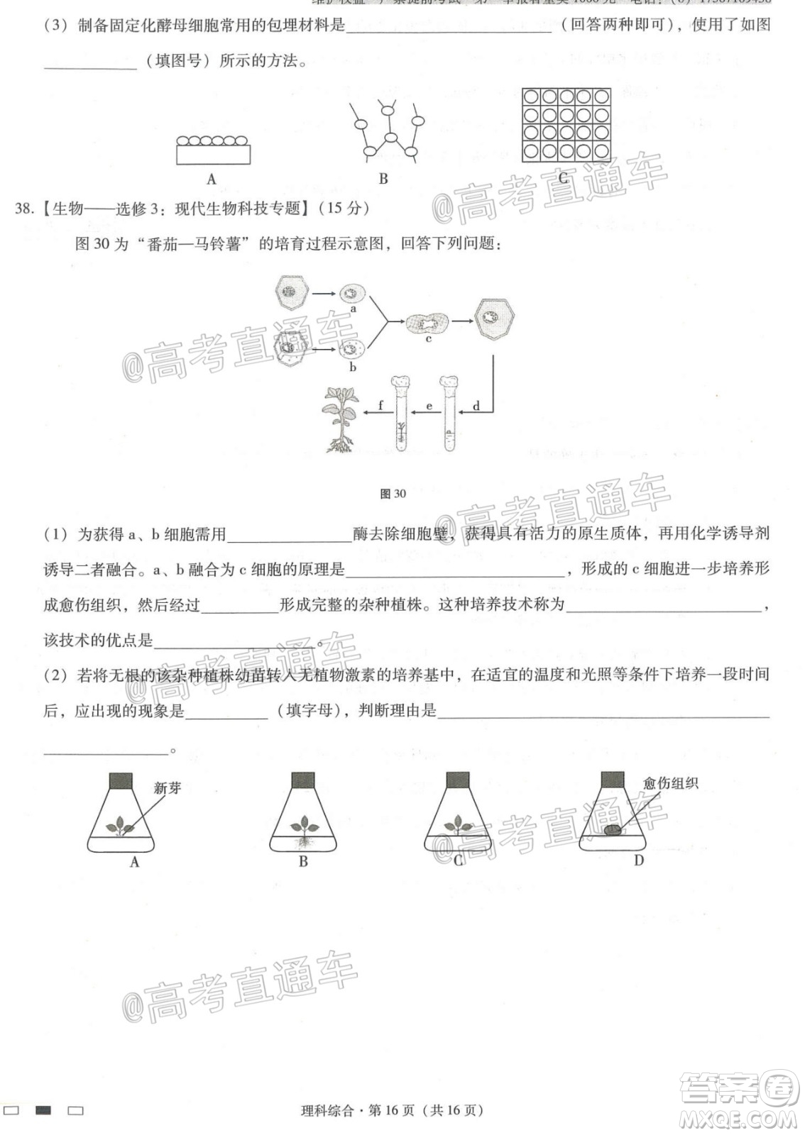 西南名校聯(lián)盟高考適應(yīng)性月考卷12月考理科綜合試題及答案