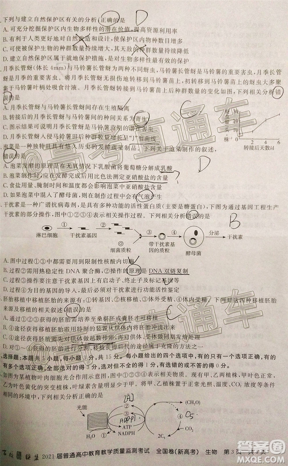 2021屆百校聯(lián)盟12月聯(lián)考全國卷新高考生物試題及答案