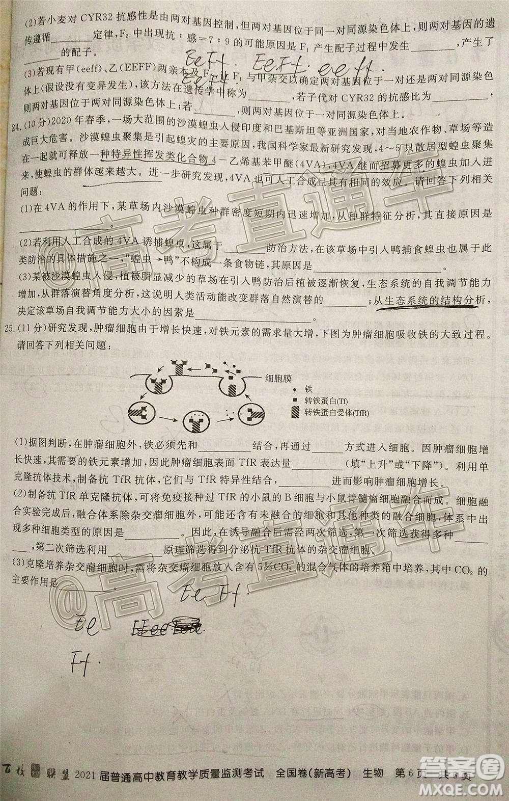 2021屆百校聯(lián)盟12月聯(lián)考全國卷新高考生物試題及答案