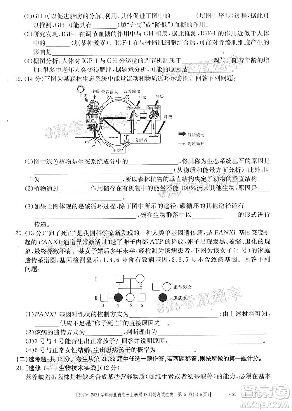 2021屆河北金太陽高三12月聯(lián)考生物試題及答案