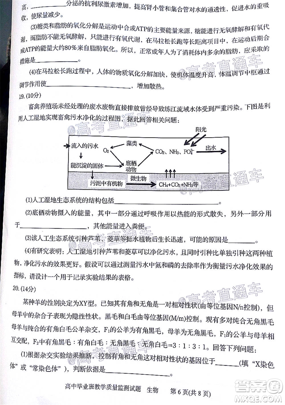 汕頭市2020-2021學(xué)年度普通高中畢業(yè)班教學(xué)質(zhì)量監(jiān)測生物試題及答案