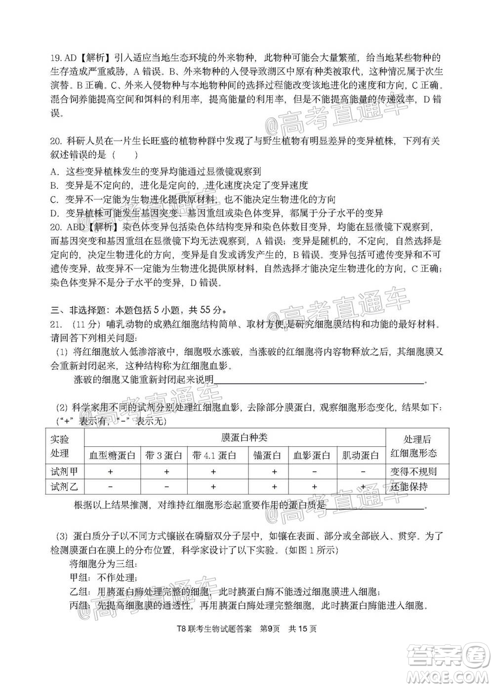 T8聯(lián)考新八校2021屆高三第一次聯(lián)考生物試題及答案