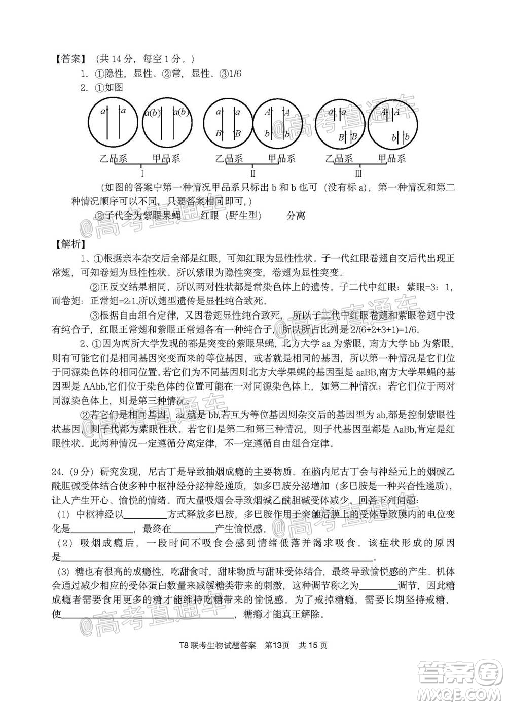 T8聯(lián)考新八校2021屆高三第一次聯(lián)考生物試題及答案