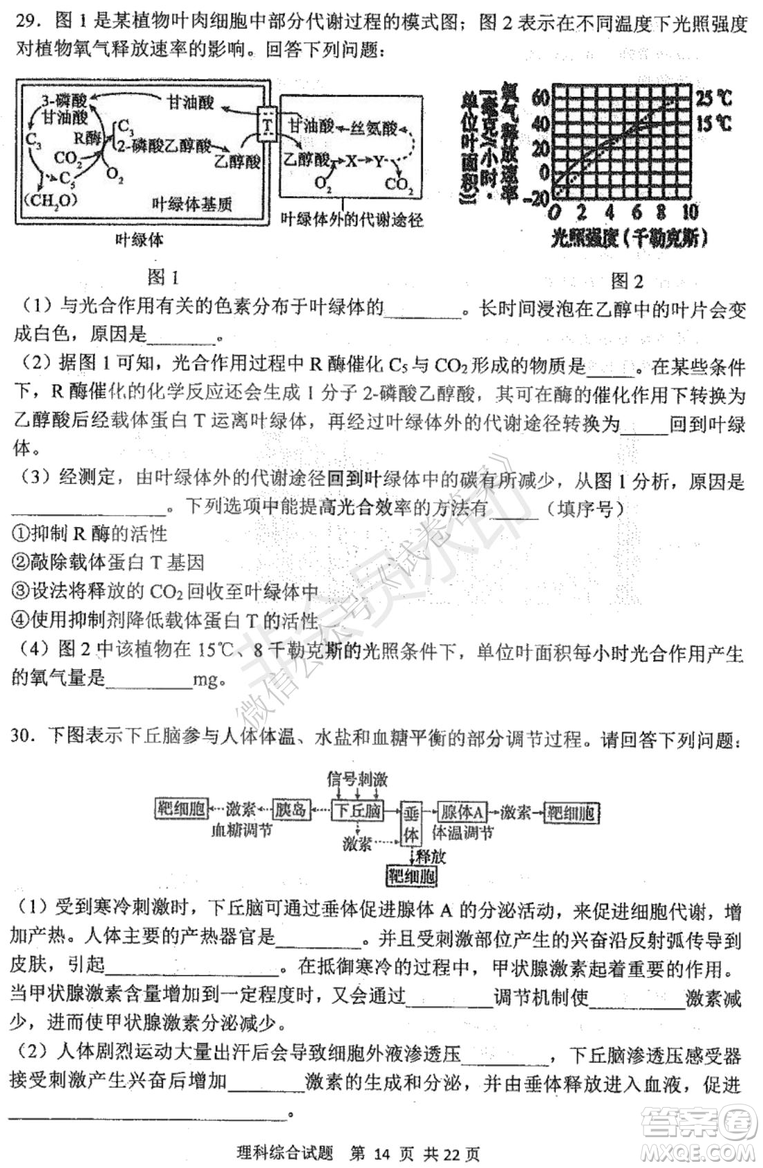 哈三中2020-2021學年度上學期高三年級期末考試理綜試題及答案