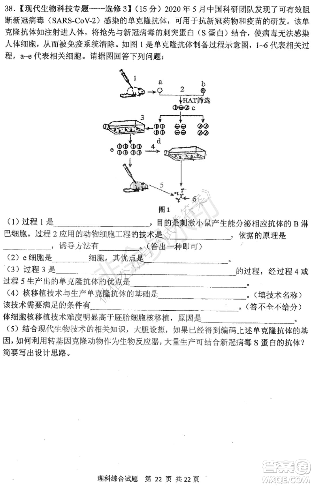 哈三中2020-2021學年度上學期高三年級期末考試理綜試題及答案