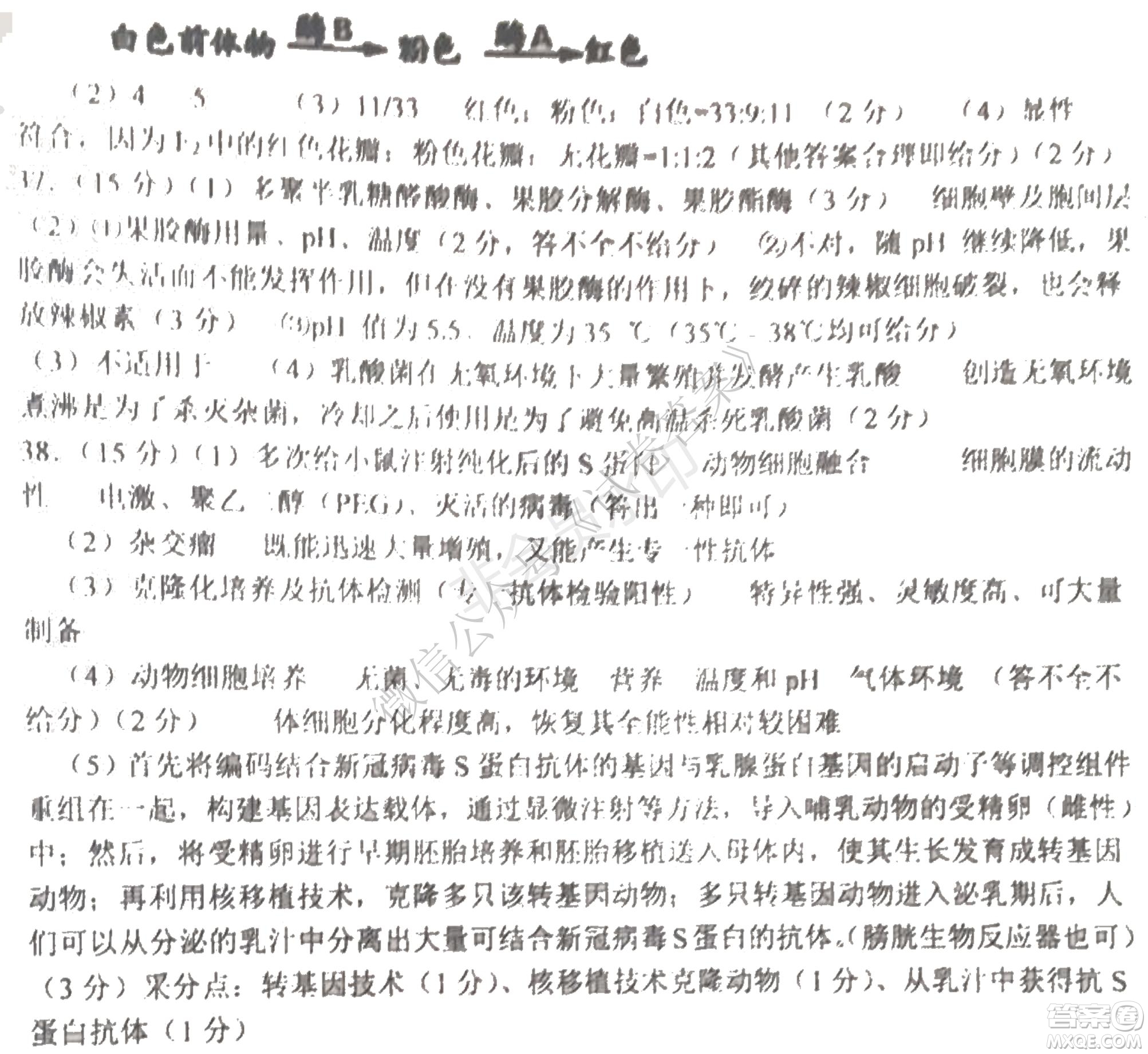 哈三中2020-2021學年度上學期高三年級期末考試理綜試題及答案