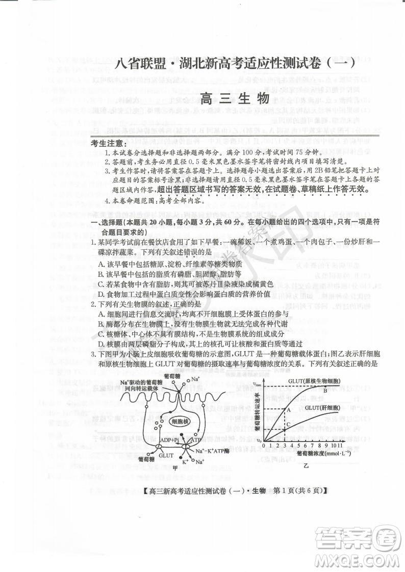 2021屆八省聯(lián)盟湖北新高考適應(yīng)性測試卷一生物試題及答案