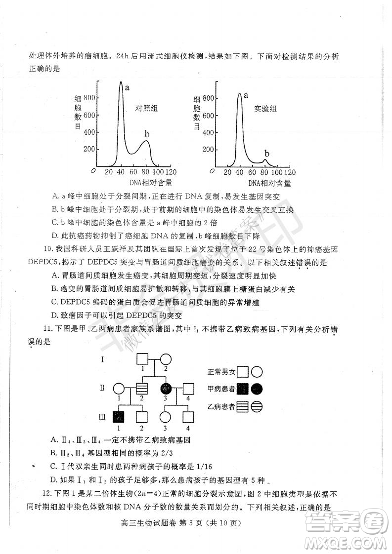 鄭州2021年高中畢業(yè)年級第一次質(zhì)量預(yù)測生物試題及答案