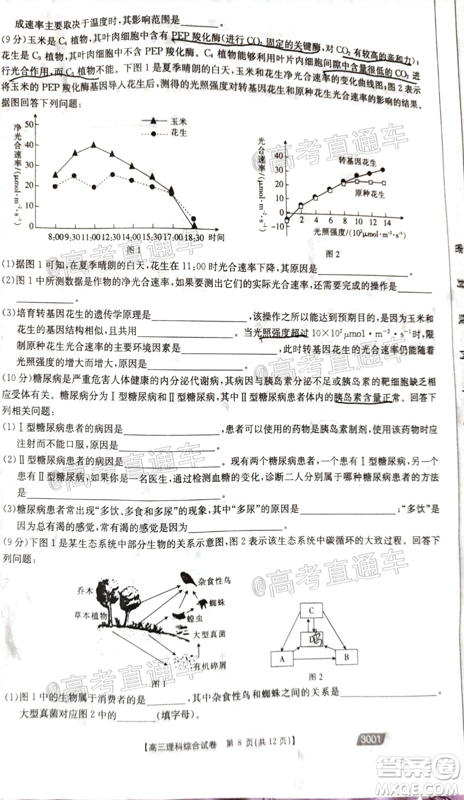 2021金太陽(yáng)百萬(wàn)聯(lián)考全國(guó)一卷1月聯(lián)考理科綜合試題及答案