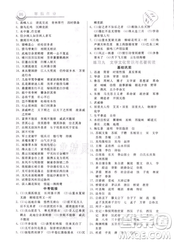 河北美術(shù)出版社2021寒假作業(yè)語文八年級(jí)人教版答案