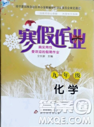 北京教育出版社2021寒假作業(yè)化學(xué)九年級(jí)人教版答案