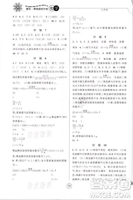 南京大學(xué)出版社2021期末寒假提優(yōu)計劃化學(xué)九年級人教版答案