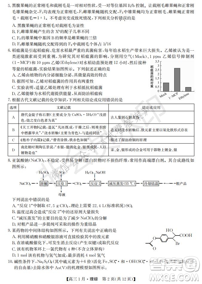 2021屆九師聯(lián)盟高三1月聯(lián)考理科綜合試題及答案