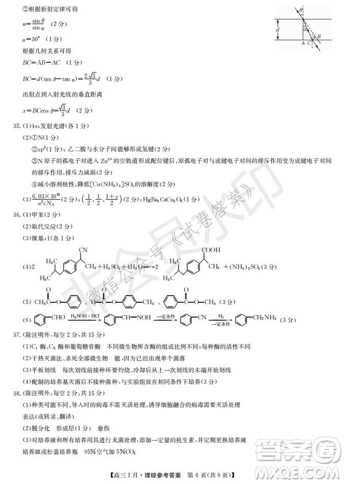 2021屆九師聯(lián)盟高三1月聯(lián)考理科綜合試題及答案