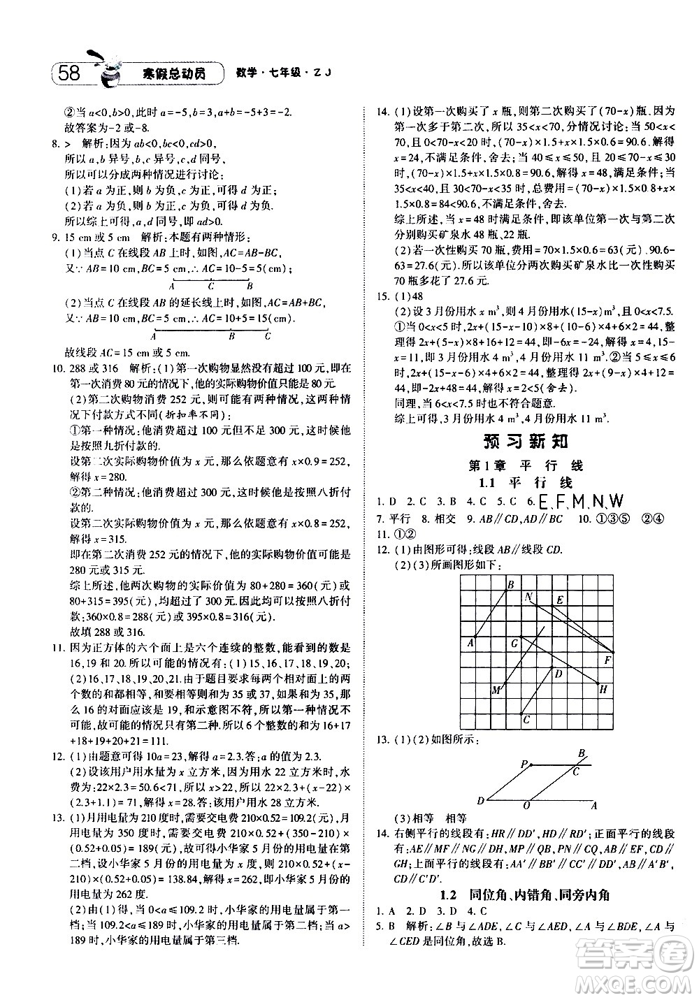 2021年經(jīng)綸學(xué)典寒假總動(dòng)員七年級(jí)數(shù)學(xué)ZJ浙教版答案