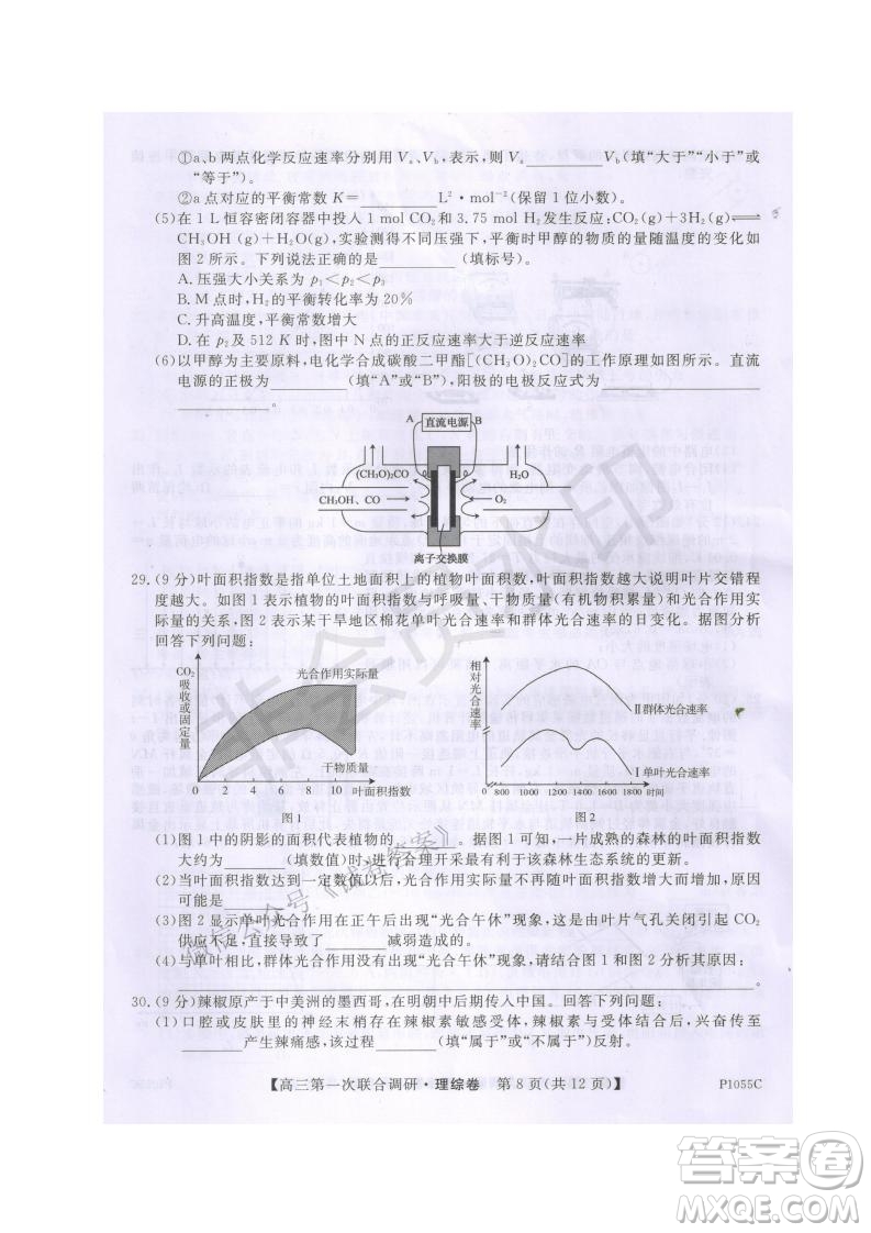 2021年高考桂林市第一次聯(lián)考調(diào)研考試高三理綜試題及答案