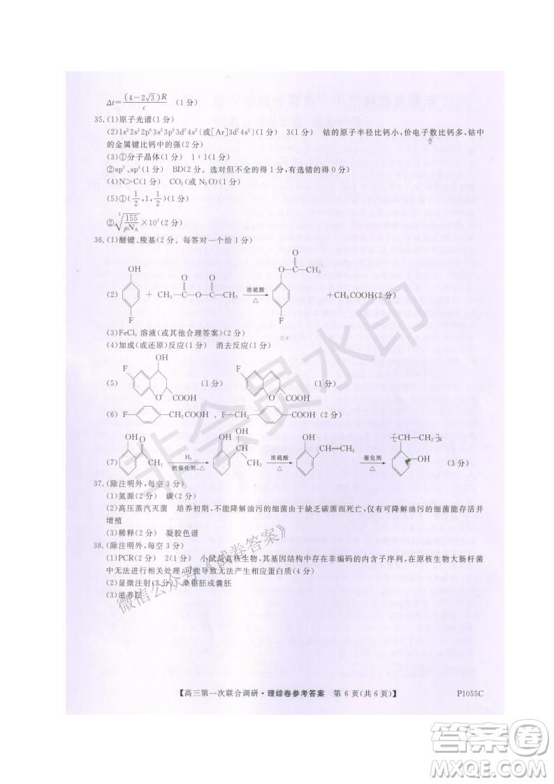 2021年高考桂林市第一次聯(lián)考調(diào)研考試高三理綜試題及答案