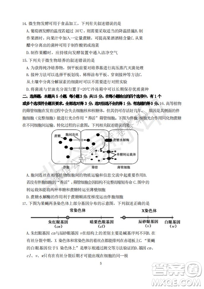 2021年大連市高三雙基測試卷生物試題及答案