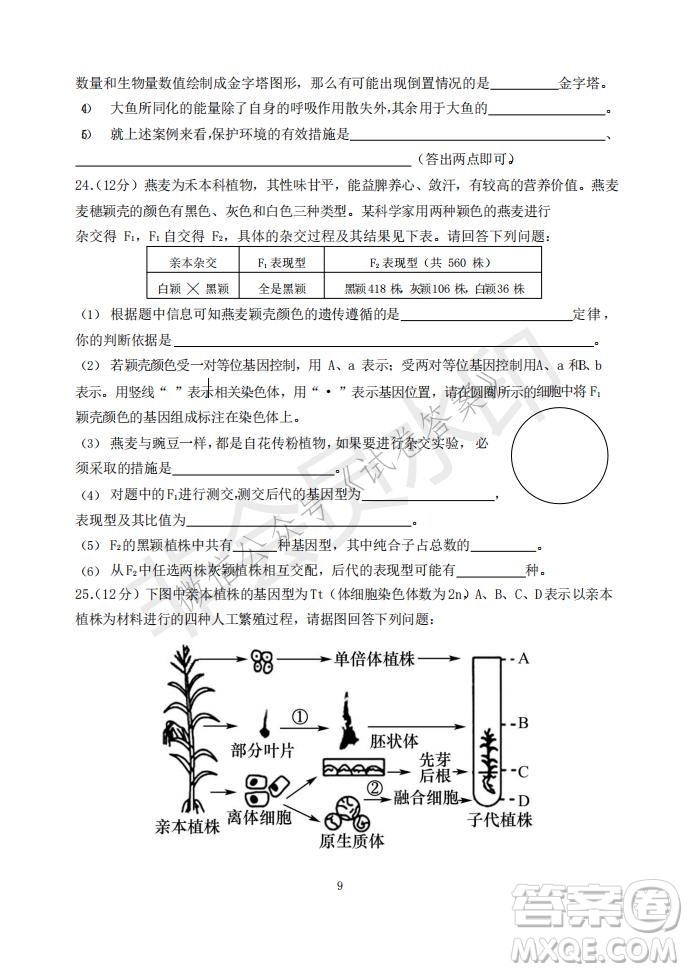 2021年大連市高三雙基測試卷生物試題及答案