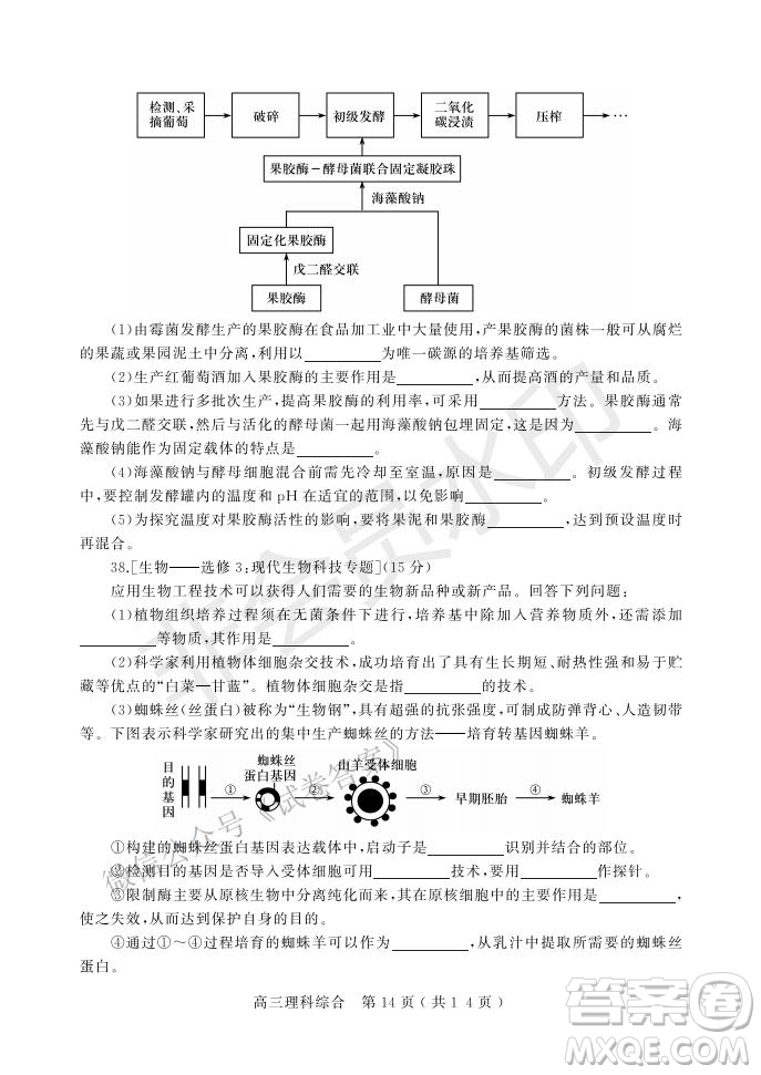 許昌濟(jì)源平頂山2021年高三第一次質(zhì)量檢測理科綜合試題及答案